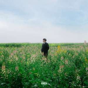 中国好黄站免费下载安装
