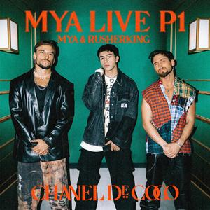 中国好黄站免费下载安装
